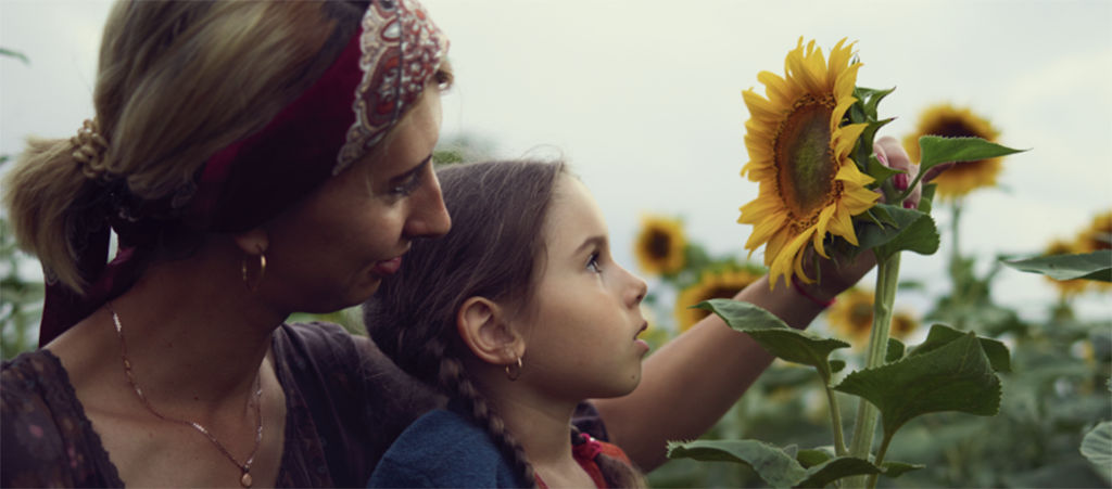 14 sustainability goals 